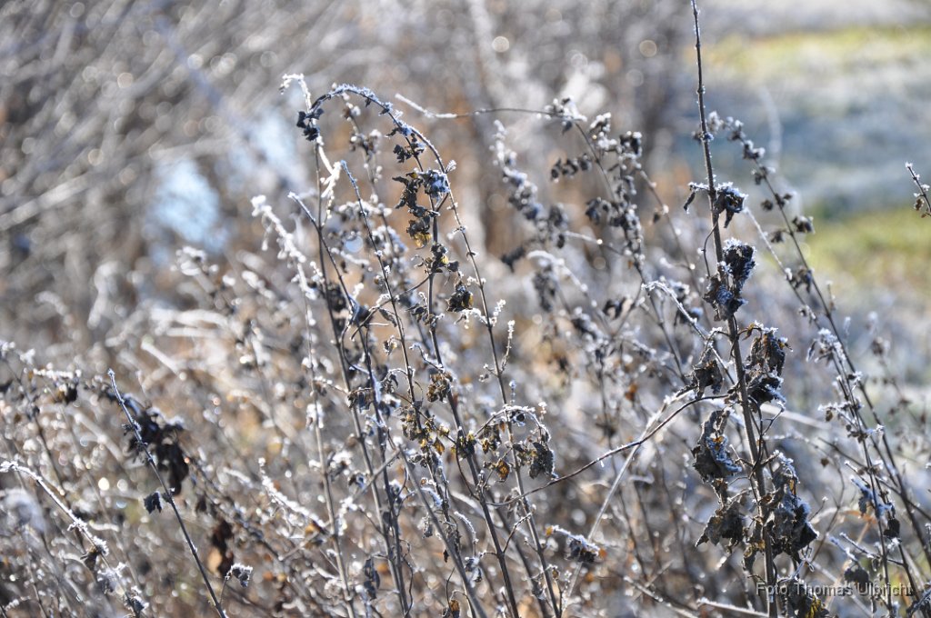 2013-12-31_11_ Impressionen_TU.JPG - (C)Thomas Ulbricht   ulbi@gmx.com